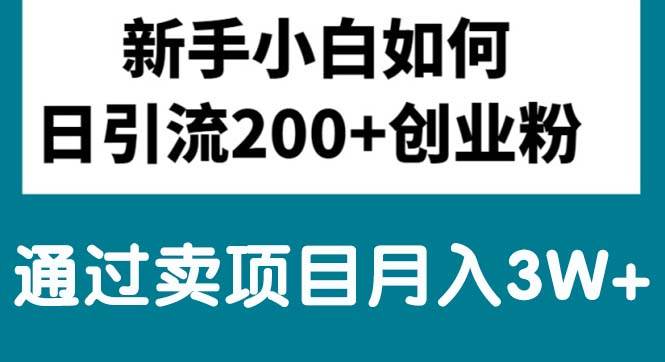 新手小白日引流200+<strong><mark>创业</mark></strong>粉,通过卖项目月入3W+