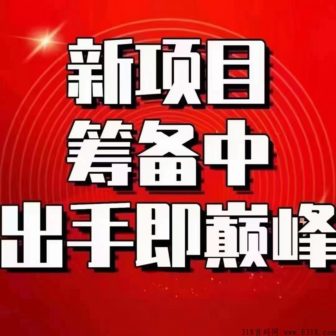 泰山sun,十二月启动，先机项目对接，政策置顶，诚邀各大团队长。