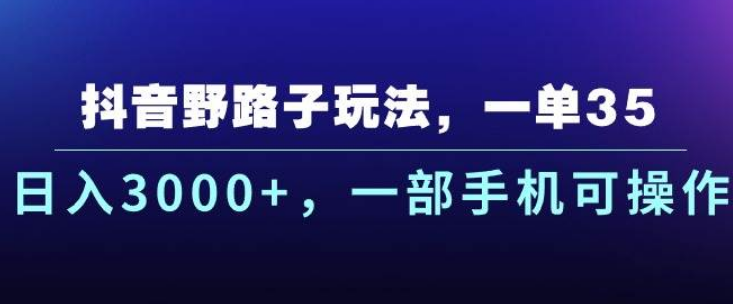 抖音野路子玩法，一单35.日入3000+，一部手机可操作