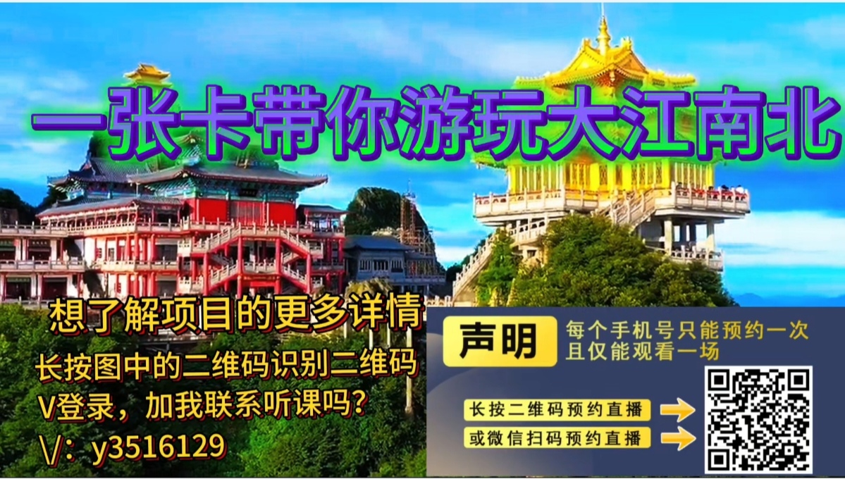 让我们深入探讨旅游卡的变现模式