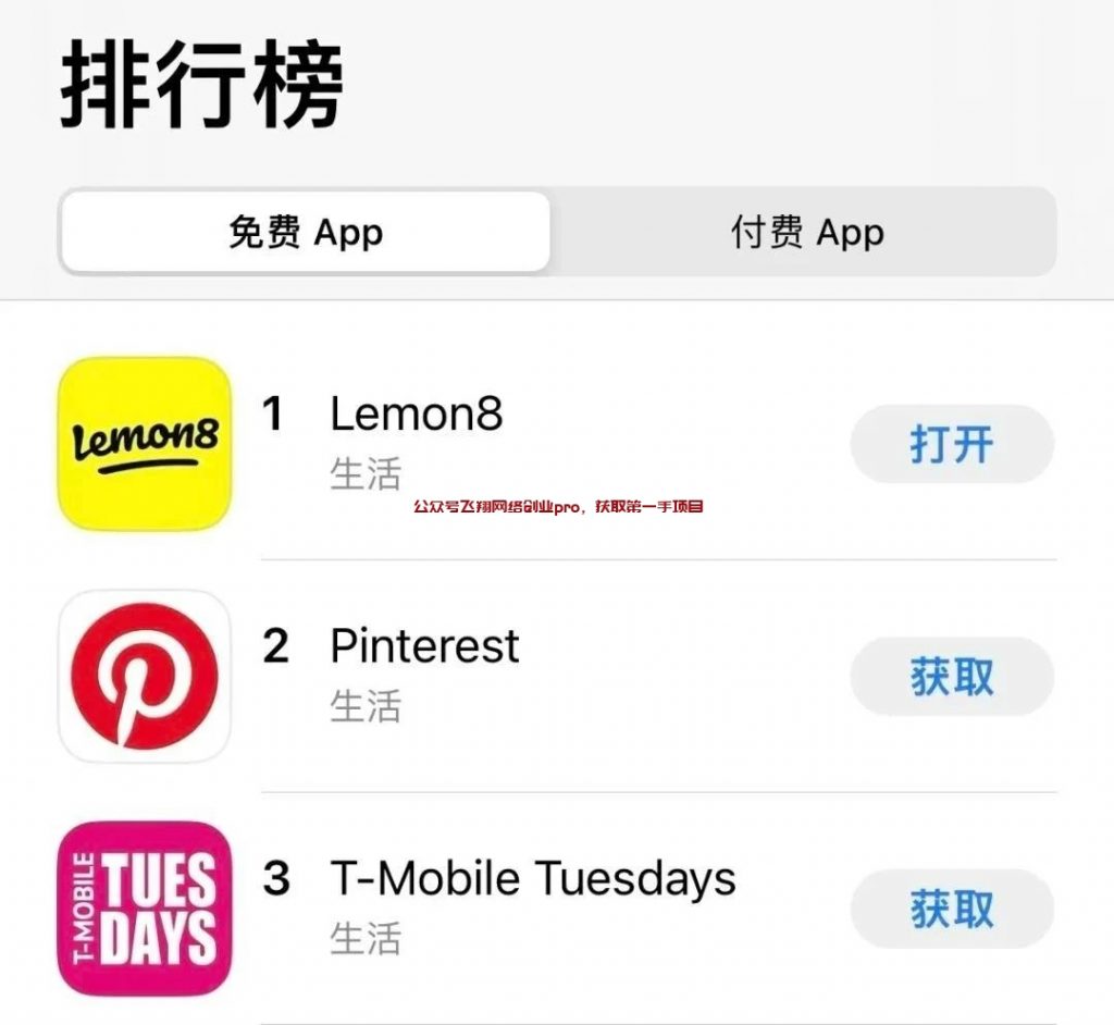 “小红书海外版”：Lemon8，国外赚钱新渠道